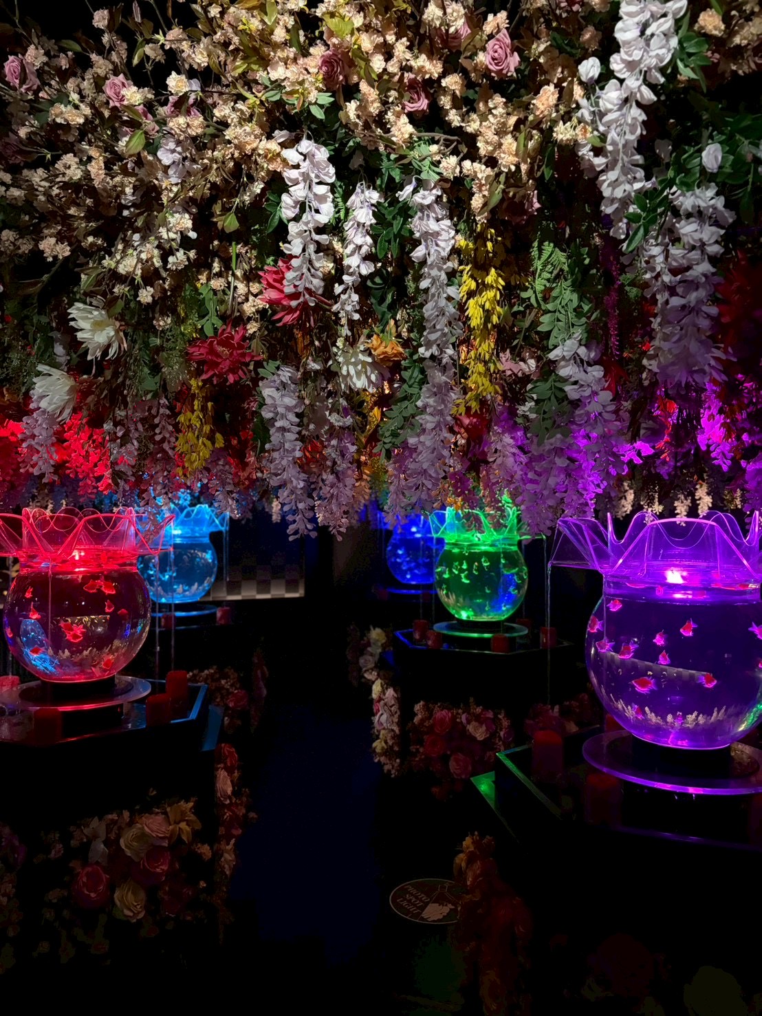 アートアクアリウム